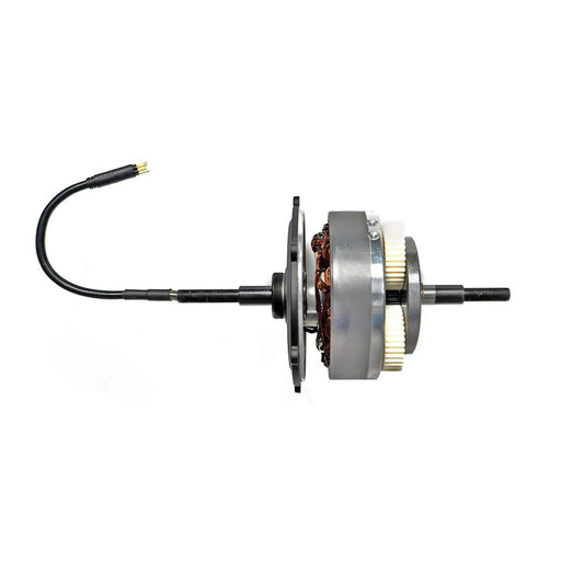 Engwe L20 SE Electric Bike Motor